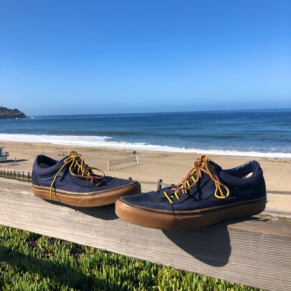 Vans Skate Shoes